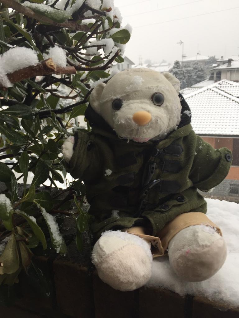 Gulino, a well-loved plushie