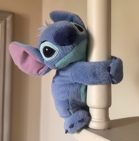 Noce, a well-loved plushie