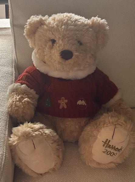 Gino, a well-loved plushie